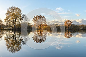 Trees reflected in a flooded meadow after heavy rains. Autumn landscape