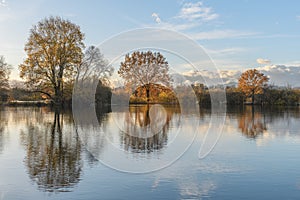 Trees reflected in a flooded meadow after heavy rains. Autumn landscape