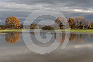 Trees reflected in a flooded meadow after heavy rains. Autumn landscape