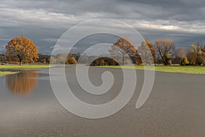 Trees reflected in a flooded meadow after heavy rains. Autumn landscape