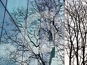 trees are reflected in the glass facade of a modern building