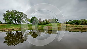 Trees Reflected in a Glassy Lake - Landscape