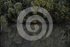 Trees are reflected in the green water of the river