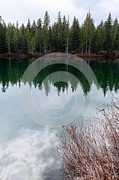 Trees reflected in Nellie Lake, British Columbia, Canada