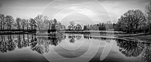 trees are reflected in the partially frozen lake