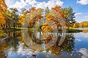 Trees reflected in water, autumn foliage in Catherine park, Pushkin Tsarskoe Selo, Saint Petersburg, Russia