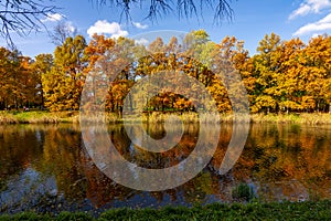 Trees reflected in water, autumn foliage in Catherine park, Pushkin Tsarskoe Selo, Saint Petersburg, Russia