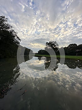 Trees reflected in water with cloudy sky, creating a serene natural landscape