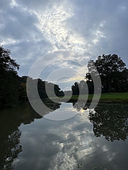 Trees reflected in water with cloudy sky, creating a serene natural landscape