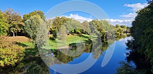 Trees reflected in water, Danube river in Regensburg, Bavaria