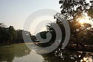 Trees are reflected in the waters of the river. Evening landscape. Sunset