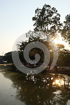 Trees are reflected in the waters of the river. Evening landscape. Sunset