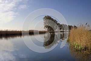 Trees reflecting in the Bakkerskil