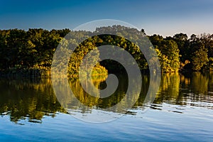 Trees reflecting in Duck Creek in Essex, Maryland.