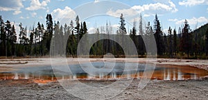 Trees reflecting in the Emerald Pool hot spring in the Black Sand Geyser Basin in Yellowstone National Park USA