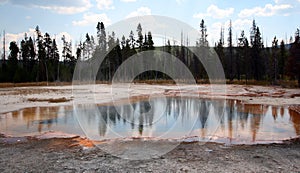 Trees reflecting in the Emerald Pool hot spring in the Black Sand Geyser Basin in Yellowstone National Park USA