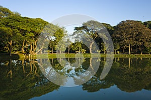 Trees reflecting in Kandawgyi Lake in Bogyoke Park Bogyoke Aung San Park in Yangon