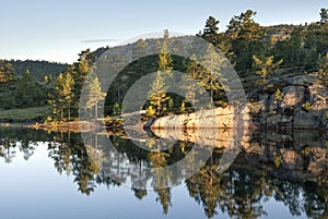 Trees reflecting in a lake