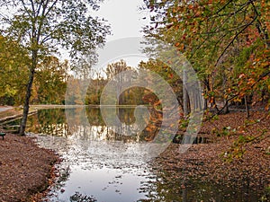 C. G. Hill Memorial Park Reflections