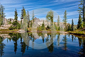 Trees reflecting in a pond near Blue Lake, Winthrop, WA