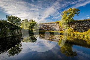 Trees reflecting in a pond on Suomenlinna, in Helsinki, Finland.