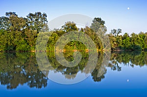 Trees with reflection