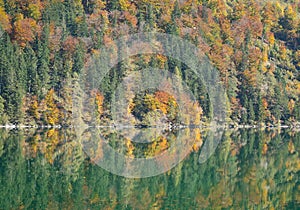 Trees and reflection in a mountain lake in autumn