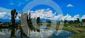 trees reflection water clouds nature