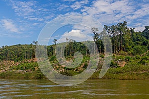 Trees are removed due to increasing levels of Nam Ou river during Nam Ou 3 dam filling, La