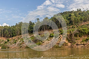 Trees are removed due to increasing levels of Nam Ou river during Nam Ou 3 dam filling, La