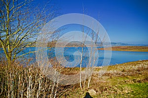 Trees and the reservoir