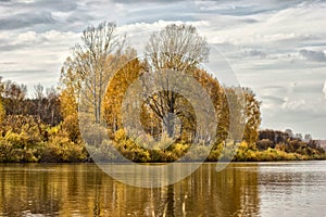 Trees on the river bank