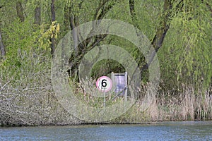 Trees by River Yare, Norfolk Broads, Surlingham, Norfolk, England, UK