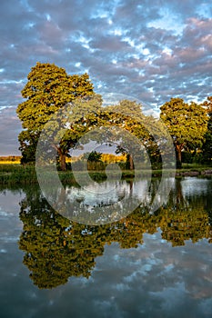 Trees by the riverbank of Gota canal photo