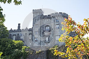 Trees and riverside view of kilkenny castle