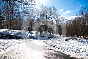 Trees, road in curve and snow with sunny blue sky