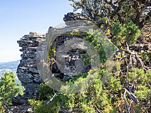 Trees and rock cliffs at the mountain top