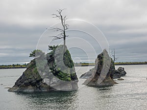 Trees on rock cliffs in ocean bay