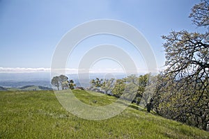 Los Padres National Forest Figueroa Mountain photo