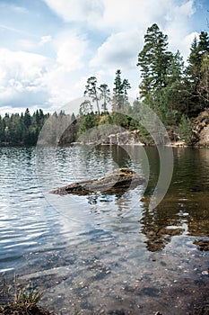 trees and rocks at lake with beautiful cloudy sky on