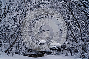 Trees and rocks in snow river in ice