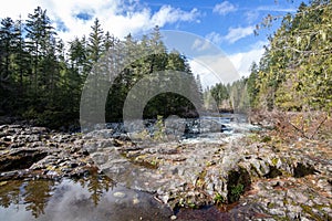 Trees and rocks at Sooke River