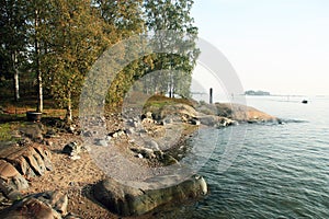 Trees on the rocky coast of Luoto island, Helsinki