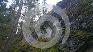 Trees on rocky hillside