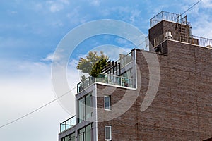 Trees on rooftops , sign of environmental consciousness