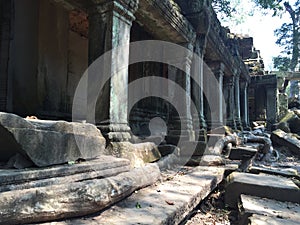 Trees and roots growing over the ruins of Ta Prohm temple