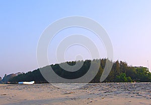 Trees at Sandy Sea Shore - Alappuzha, Kerala, India