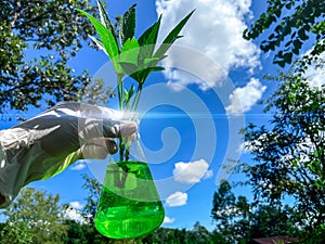 Trees in a science glass, Experimentation and conservation for the environment