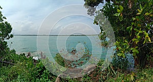 trees in the sea pesisir barat, Indonesia