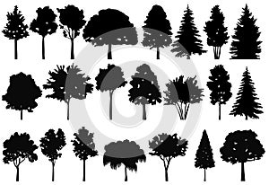 Trees set black silhouette, on white background, isolated